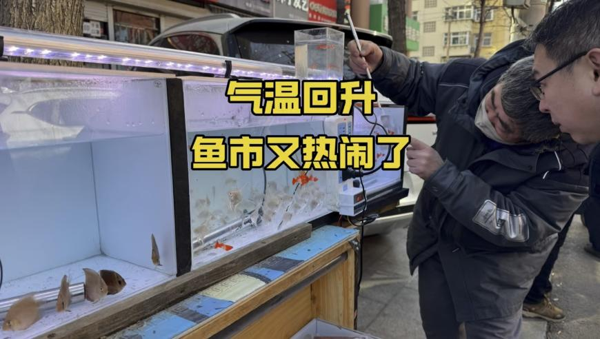 澳门金牛版免费资料网下载,哪吒2的破绽找到了,决策资料解释落实_完整版V13.19